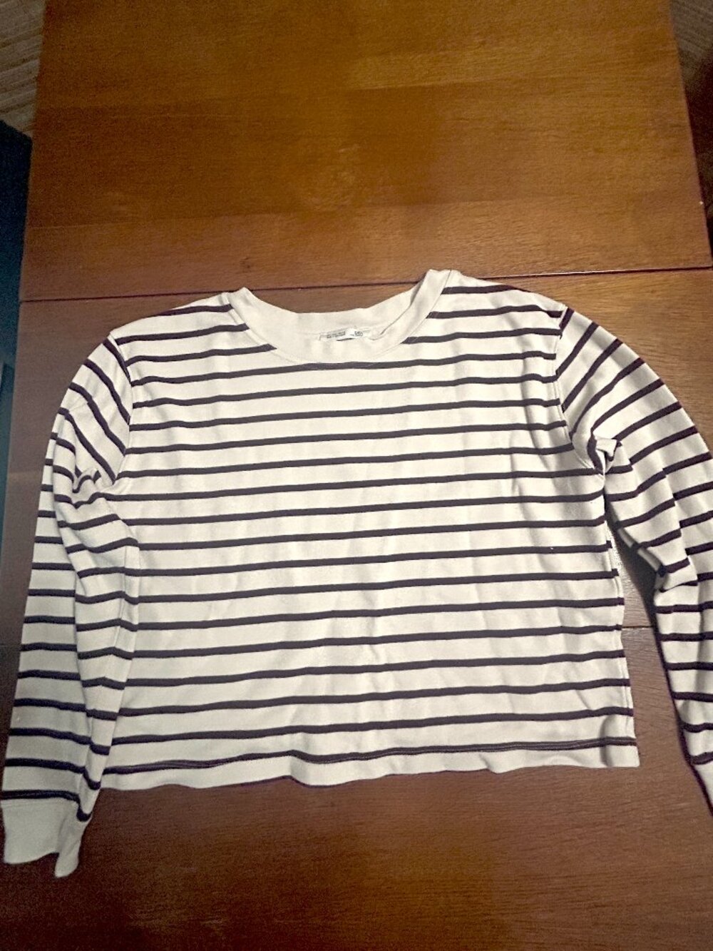 womens large Zara striped sweathshirt